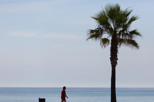 Alea Rentals - Cye 5 La Pineda Dış mekan fotoğraf